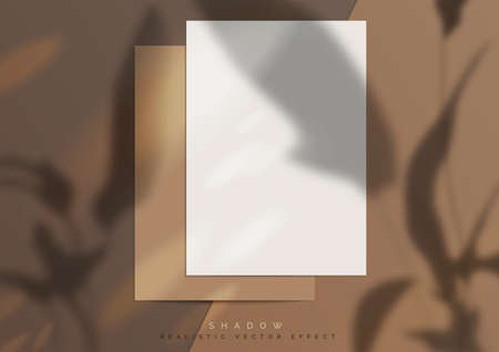 Branding mockup. A shadow and sunny bunnies on topのイラスト素材