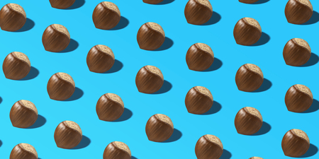 Creative layout made pattern hazelnut on blue backgroundの写真素材
