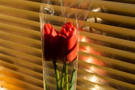 Bouquet of red tulips on a background of golden blinds, close-upの写真素材