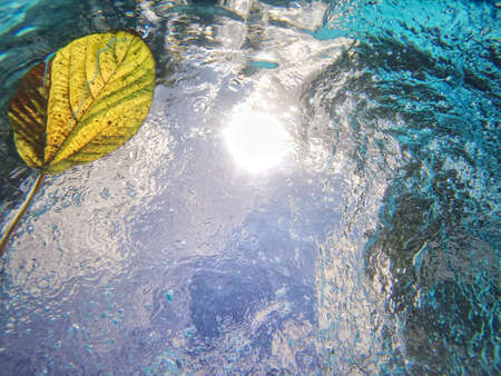 Bluewater in pool or sea with a yellow leaf floating on the surface background. High-quality photo