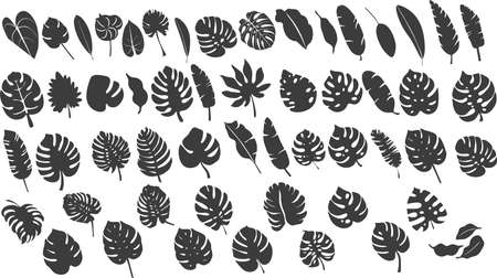 Silhouette of large trapezoid leaves and plantsのイラスト素材