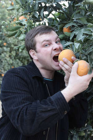 A hungry man in a orange orchardの写真素材
