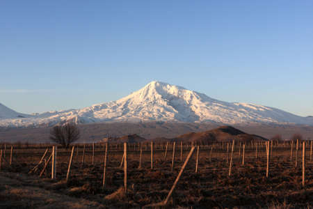 Mount Ararat behind arable land at daybreakの写真素材
