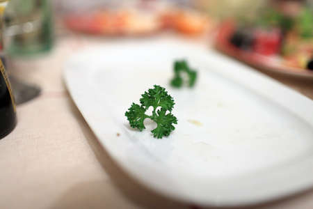 The piece of parsley on a plate after dinnerの写真素材