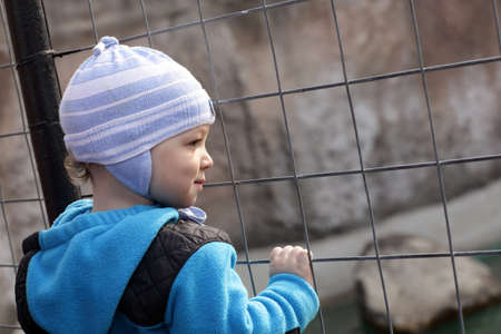 The toddler is looking through a fence in spring