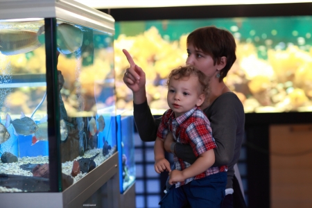 Mother and boy are looking at fish at aquariumの写真素材