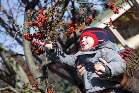 The child taking rowan in the autumn parkの写真素材