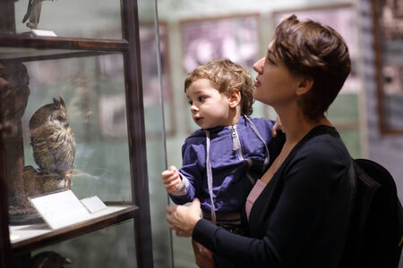Family looking at owl in zoological museumの写真素材