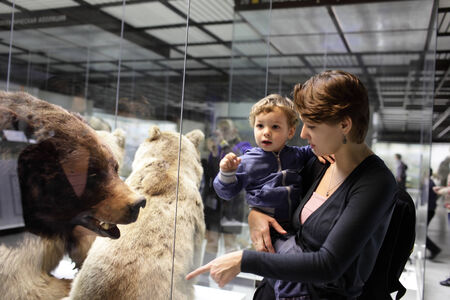 Mother tells her son about bear at zoological museumの写真素材