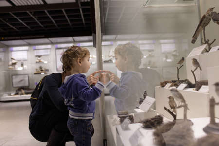 Mother tells her son about birds in zoological museumの写真素材