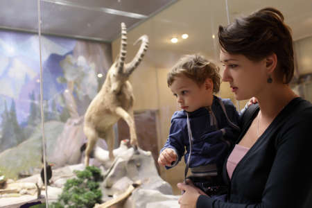 Mother with her son at zoological museum, russiaの写真素材