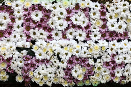 Details of the bed white flowers 