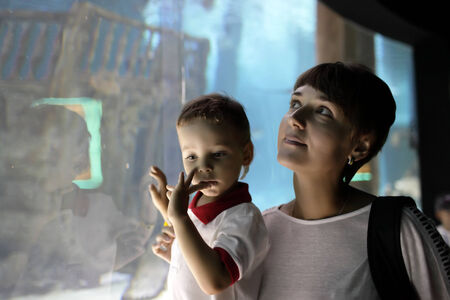 Family watching a marine life at oceanariumの写真素材