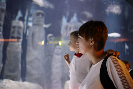 Mother with her son watching marine life at oceanariumの写真素材