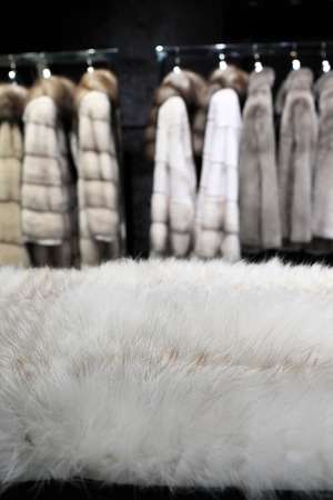 Part of white fur at a storeの写真素材