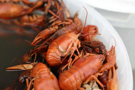 Red boiled crayfish in the pan at a market