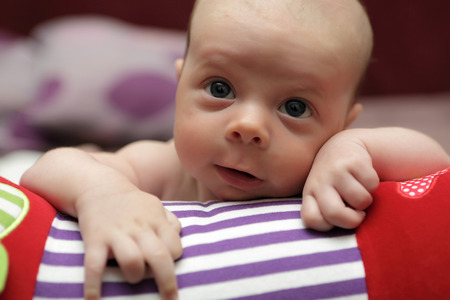 Portrait of a baby boy on crawling roll