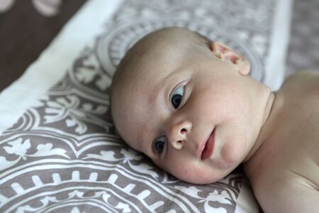 Portrait of a senior newborn baby boy on a bed
