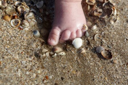 Newborn foot in the sand on the sea shoreの写真素材