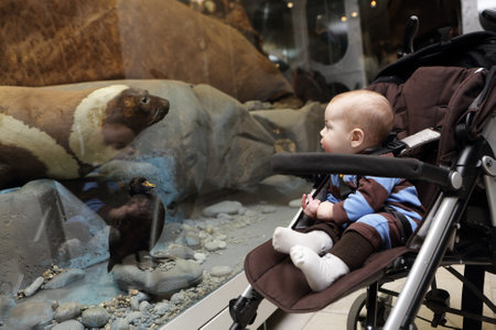 Portrait of a boy on a stroller in the museumのeditorial素材