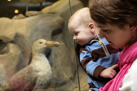 Mother with her son looking at bird in the museumのeditorial素材