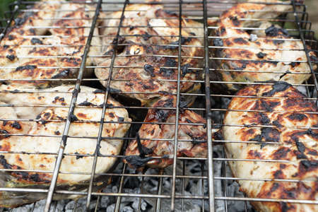 Grilling catfish slices on barbecue on picnicの写真素材