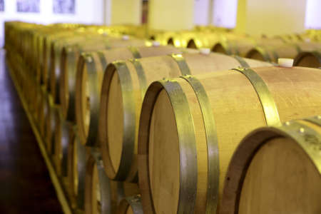 View of old wooden barrels of wine at winery