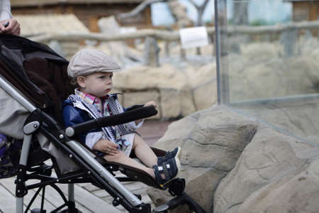 Portrait of a child on stroller in zooの写真素材