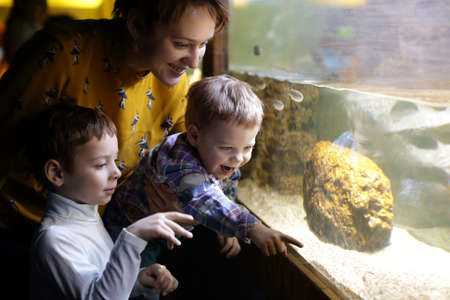 Family looking at fishes in an aquariumの写真素材