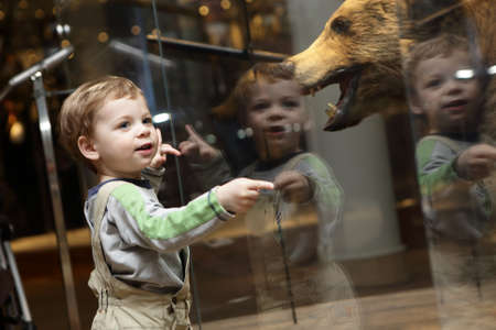 Portrait of curiosity kid in a museumの写真素材