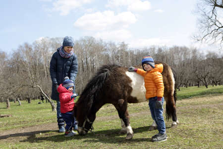 Family playing with pony on the farmの写真素材