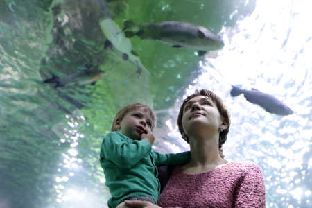 Mother with son looking at fishes in aquarium