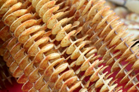 Potato chips with a spiral on a stickの写真素材