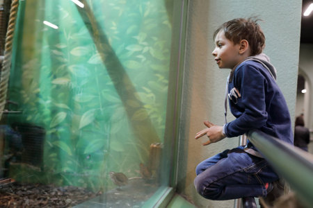 Portrait of a child in the zoo