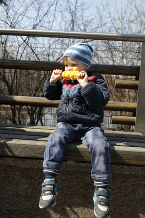 Boy eating corn on bench in spring