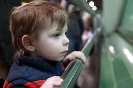 Portrait of curious kid in the zooの写真素材