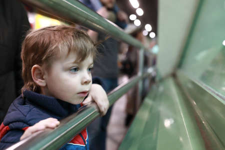 Portrait of interested child in the zooの写真素材