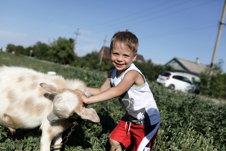 Child plays with goat on the farmの写真素材