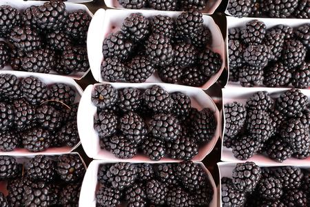 View of blackberries in boxes on the marketの写真素材