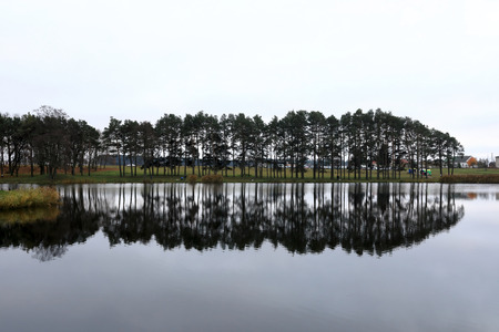 Pond near Mir Castle Complex in the eveningの写真素材