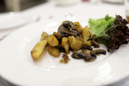 Fried potatoes with mushrooms on white plateの写真素材