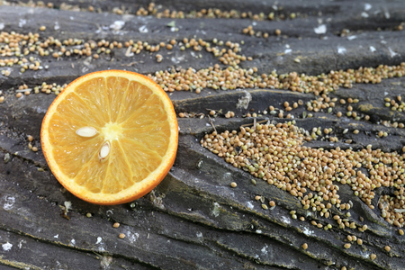 Slice of lemon and groats on wooden boardの写真素材