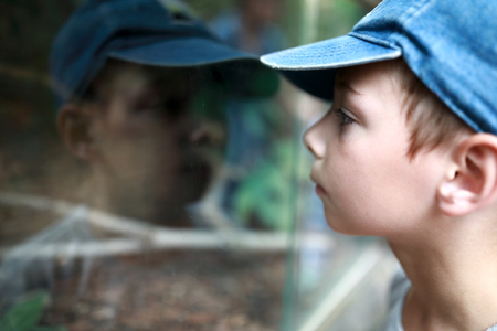 Portrait of a boy at the zooの写真素材