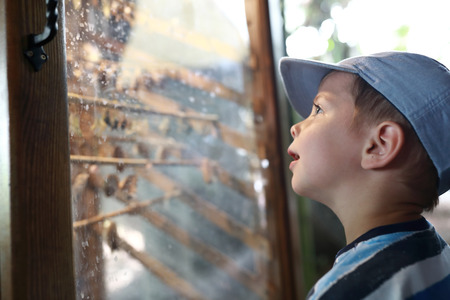 Portrait of a child at the zoo
