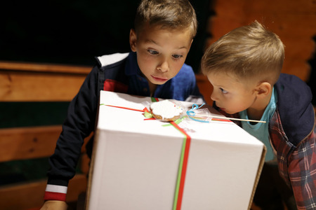 Brothers looking at cardboard box with giftの写真素材
