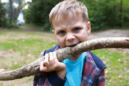 Child nibbles wooden stick in the forestの写真素材