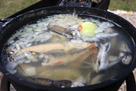 Pan with salmon fish soup on picnicの写真素材