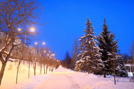 View of park black lake in Kazan in winter at nightの写真素材