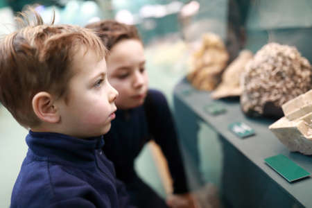 Curiosity children looking at minerals in museumの写真素材
