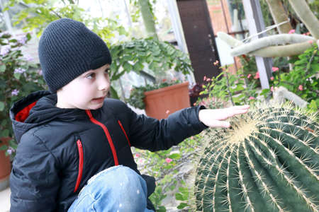Child touching cactus in greenhouse of Nikitsky Botanical Garden, Crimeaの写真素材